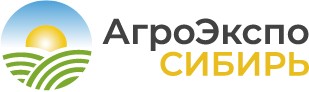 AES-Logo-RUS
